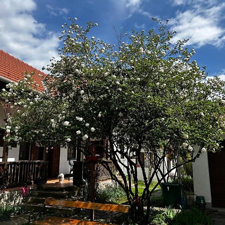 Magnolia Garden Apartman Miskolc Kültér fotó