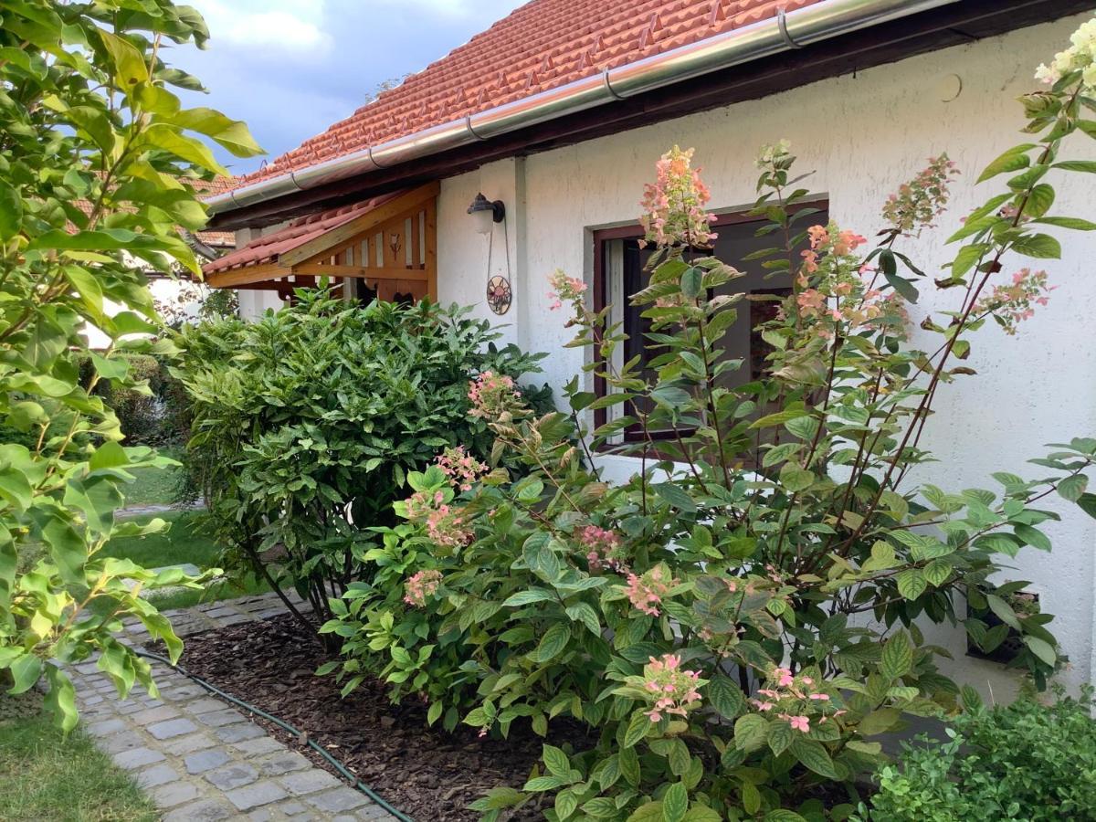 Magnolia Garden Apartman Miskolc Kültér fotó