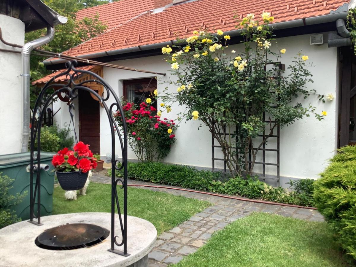 Magnolia Garden Apartman Miskolc Kültér fotó