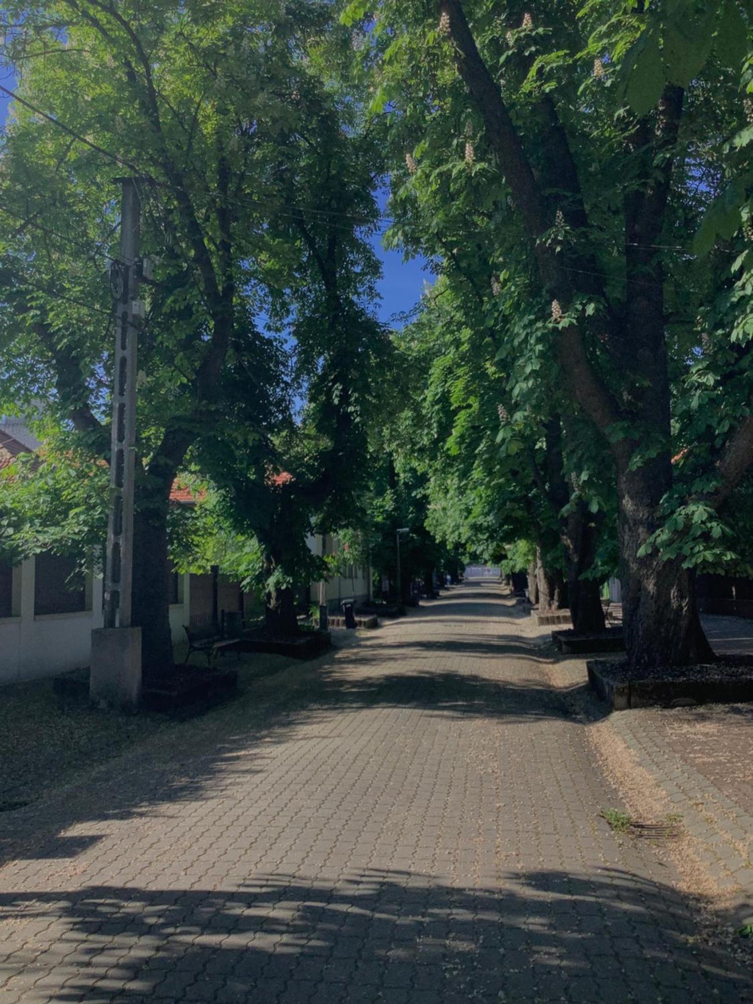 Magnolia Garden Apartman Miskolc Kültér fotó